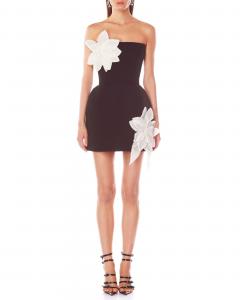 Jasmine Fit and Flare Black White